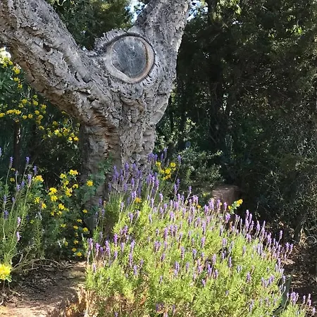 Elisabeth Saint-raphael Saint-Raphael (Var)